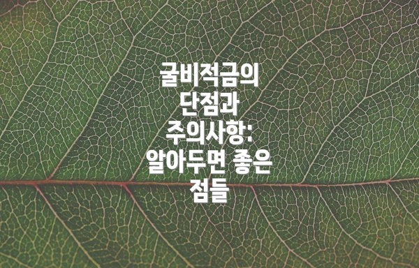 굴비적금의 단점과 주의사항: 알아두면 좋은 점들