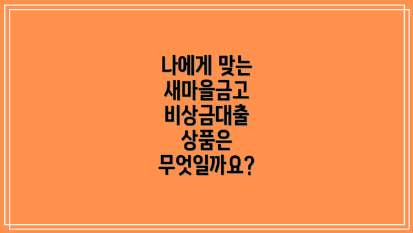 나에게 맞는 새마을금고 비상금대출 상품은 무엇일까요?