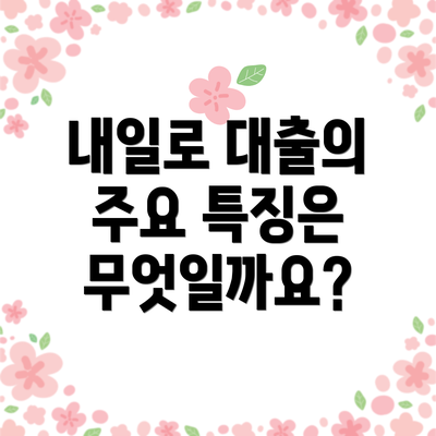 내일로 대출의 주요 특징은 무엇일까요?