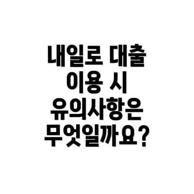 내일로 대출 이용 시 유의사항은 무엇일까요?