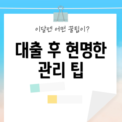 대출 후 현명한 관리 팁