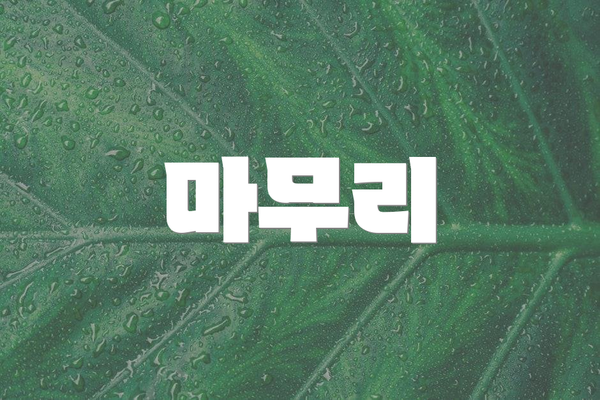 마무리