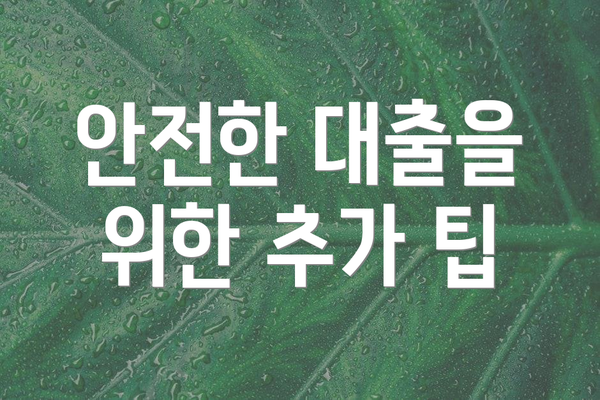 안전한 대출을 위한 추가 팁
