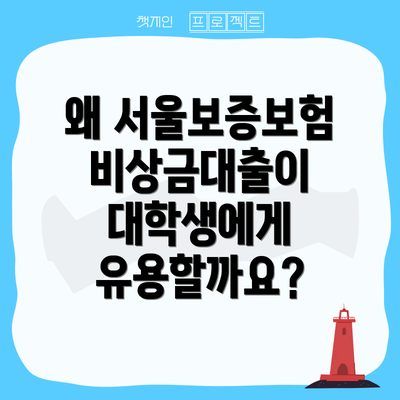 왜 서울보증보험 비상금대출이 대학생에게 유용할까요?