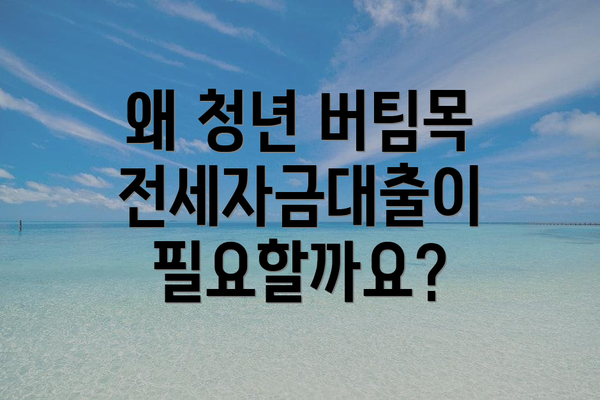 왜 청년 버팀목 전세자금대출이 필요할까요?