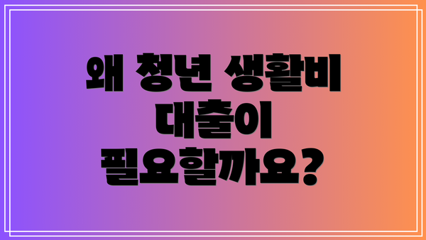 왜 청년 생활비 대출이 필요할까요?