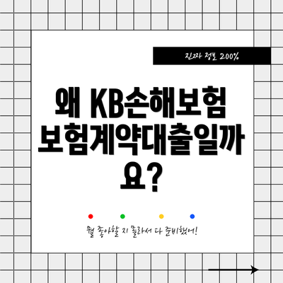왜 KB손해보험 보험계약대출일까요?