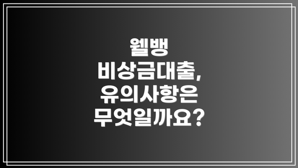 웰뱅 비상금대출, 유의사항은 무엇일까요?