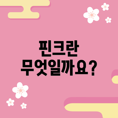 핀크란 무엇일까요?