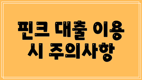 핀크 대출 이용 시 주의사항