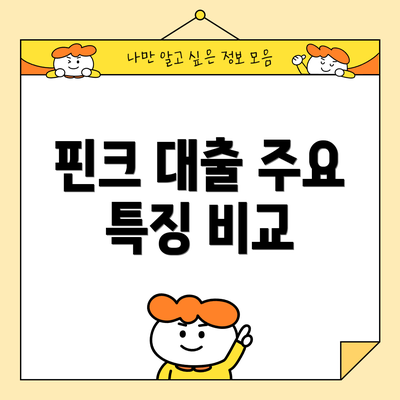 핀크 대출 주요 특징 비교
