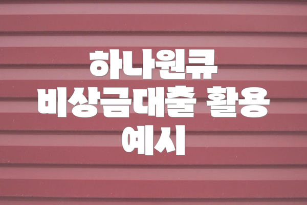 하나원큐 비상금대출 활용 예시