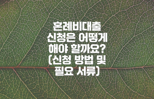 혼례비대출 신청은 어떻게 해야 할까요? (신청 방법 및 필요 서류)