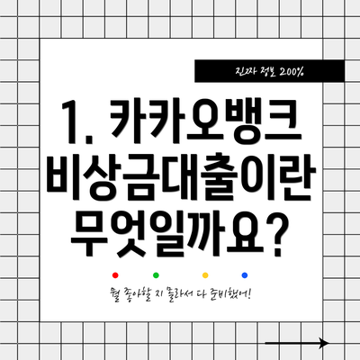 1. 카카오뱅크 비상금대출이란 무엇일까요?
