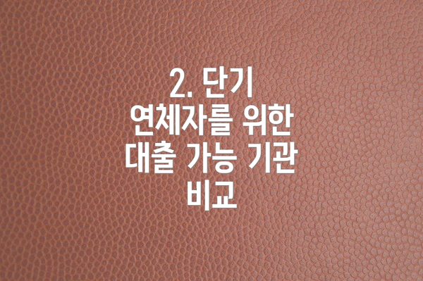 2. 단기 연체자를 위한 대출 가능 기관 비교