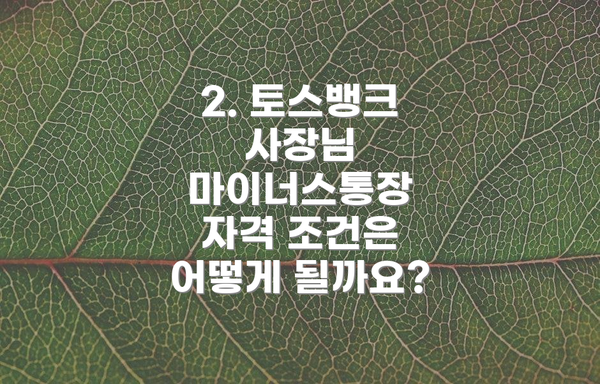 2. 토스뱅크 사장님 마이너스통장 자격 조건은 어떻게 될까요?