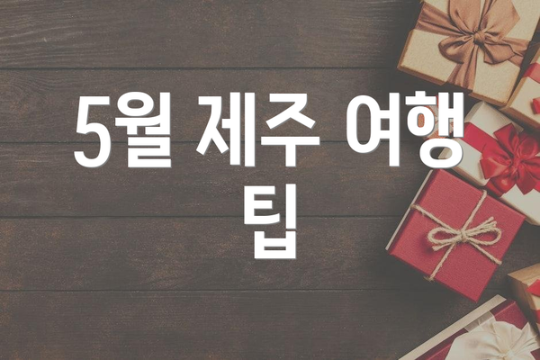 5월 제주 여행 팁