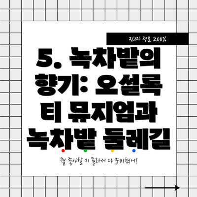 5. 녹차밭의 향기: 오설록 티 뮤지엄과 녹차밭 둘레길