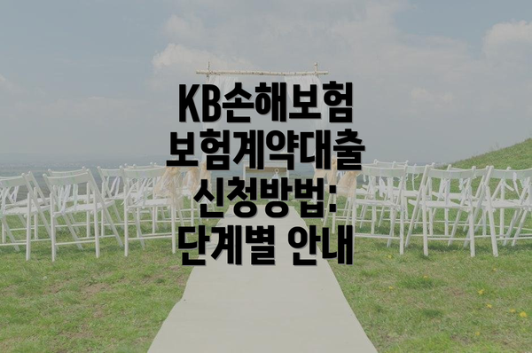KB손해보험 보험계약대출 신청방법: 단계별 안내