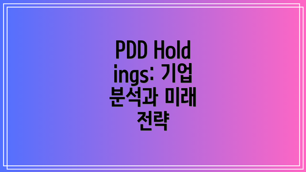 PDD Holdings: 기업 분석과 미래 전략