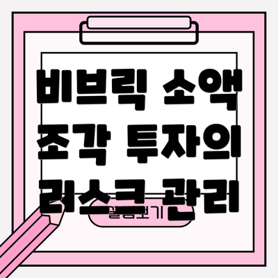 비브릭 소액 조각 투자의 리스크 관리