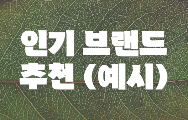 인기 브랜드 추천 (예시)
