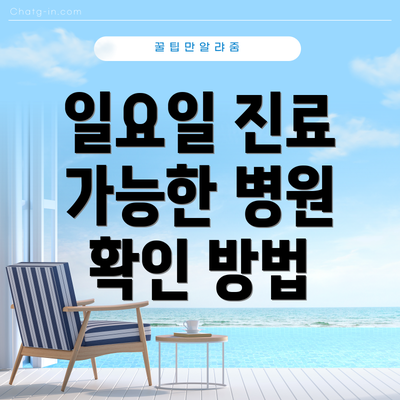 일요일 진료 가능한 병원 확인 방법