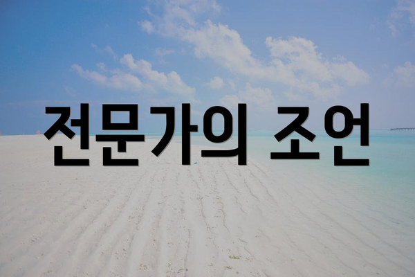 전문가의 조언