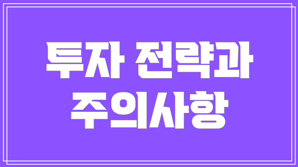 투자 전략과 주의사항