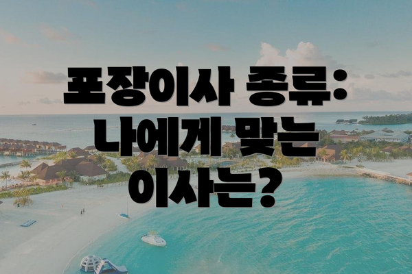 포장이사 종류: 나에게 맞는 이사는?