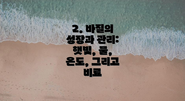 2. 바질의 성장과 관리: 햇빛, 물, 온도, 그리고 비료