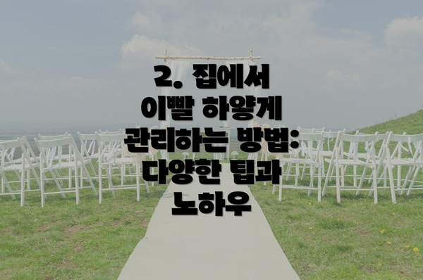 2. 집에서 이빨 하얗게 관리하는 방법: 다양한 팁과 노하우