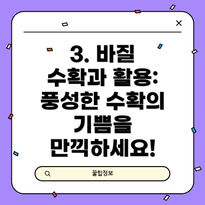3. 바질 수확과 활용: 풍성한 수확의 기쁨을 만끽하세요!