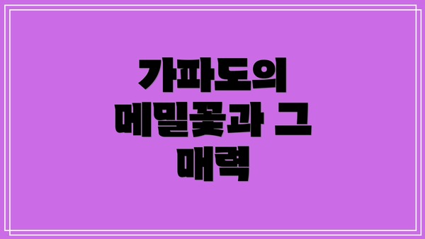 가파도의 메밀꽃과 그 매력