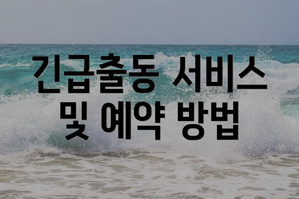 긴급출동 서비스 및 예약 방법