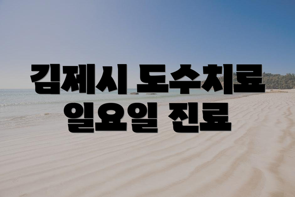 김제시 도수치료 일요일 진료