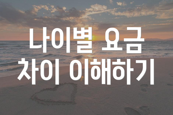 나이별 요금 차이 이해하기