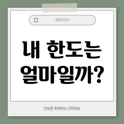 내 한도는 얼마일까?