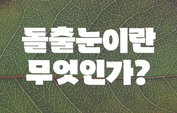 돌출눈이란 무엇인가?