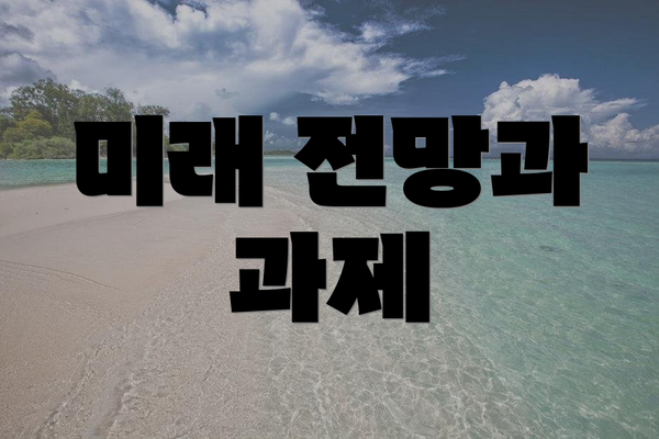 미래 전망과 과제