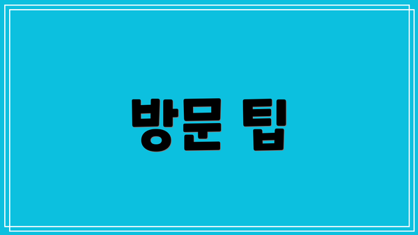 방문 팁