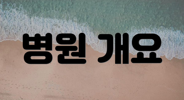 병원 개요