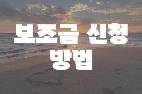 보조금 신청 방법
