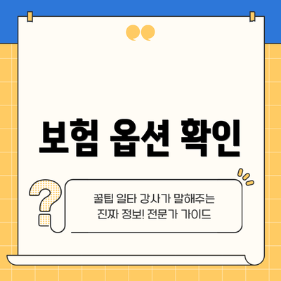 보험 옵션 확인