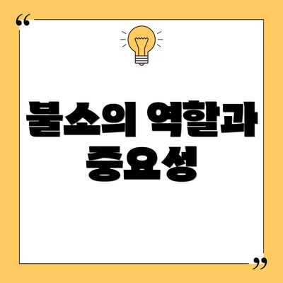 불소의 역할과 중요성