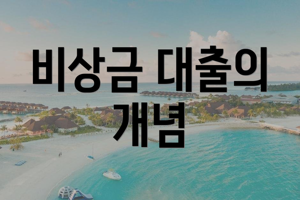 비상금 대출의 개념