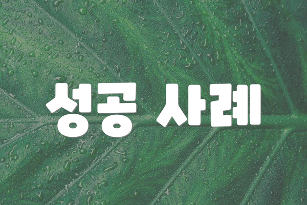 성공 사례