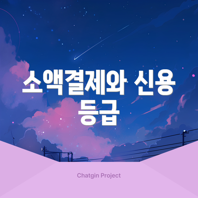 소액결제와 신용 등급