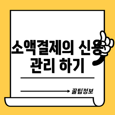 소액결제의 신용 관리 하기