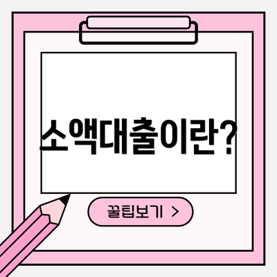 소액대출이란?
